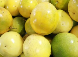Aumento de produtividade do maracujá se reflete na oferta do fruto nas Feiras de Produtos Regionais da ADS