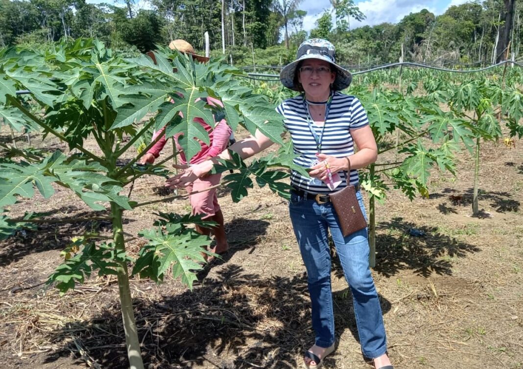 Josephina Barata da Veiga, servidora da ADS, representa as profissionais que, por meio de seus estudos e pesquisas, produzem conhecimento científico - Foto: Divulgação / ADS