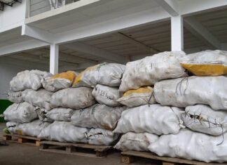 Balcão de Agronegócios: ADS auxilia no escoamento de 5,8 toneladas de abobrinha