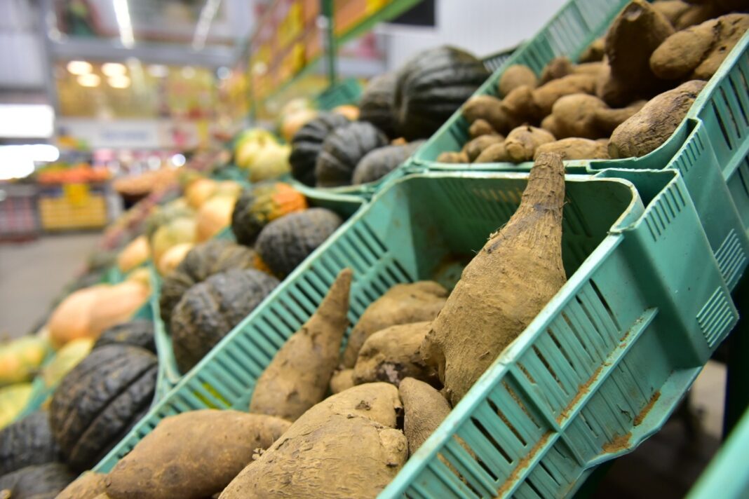 O Balcão de Agronegócios integra um conjunto de políticas públicas do Governo do Amazonas para auxiliar o produtor rural na comercialização justa de seus produtos - Foto: Ruth Jucá / ADS