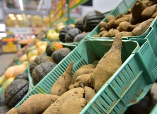 ADS auxilia escoamento de 58 toneladas de produtos em janeiro