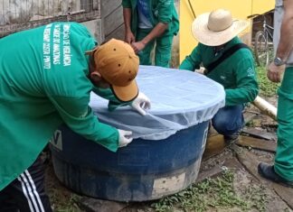 Saúde do Amazonas orienta municípios a intensificarem ações de vigilância contra mosquito Aedes aegypti