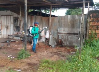 Dengue: informe semanal atualiza cenário epidemiológico nesta quinta-feira