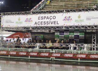 Carnaval na Floresta: Espaço PcD está disponível no Carnaboi de Manaus