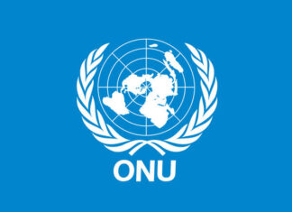ONU aprova resolução com trecho proposto pelo Brasil