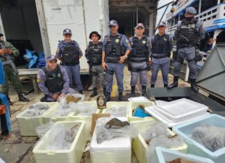 Polícia Militar apreende pedra semipreciosa no Porto São Raimundo