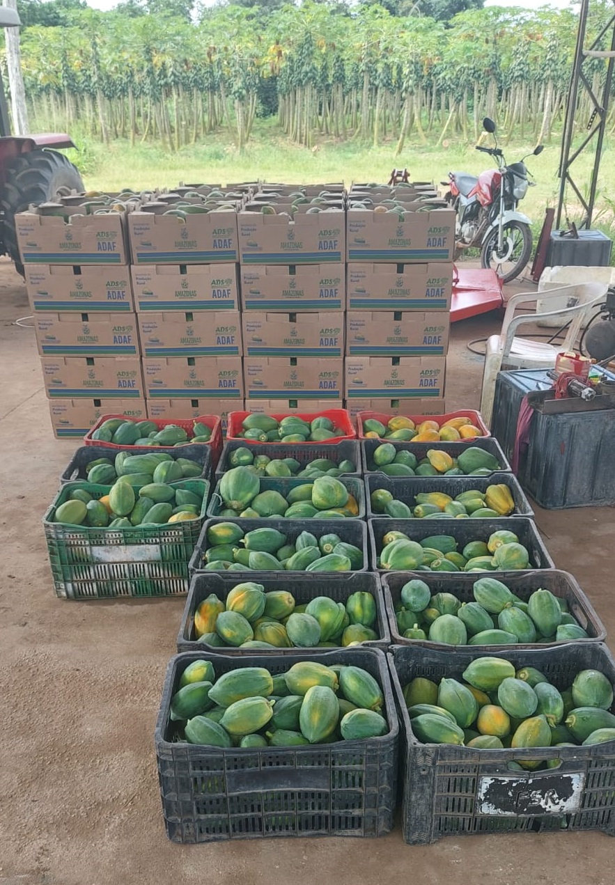 ADS_Balcão de Agronegócios_ADS escoa 15 toneladas de produtos nesta segunda-feira1_Foto_Divulgacao