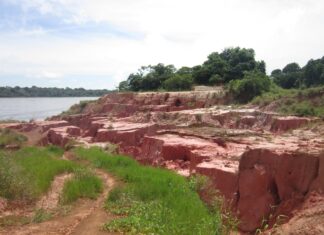 Estudo apoiado pelo Governo do Amazonas apresenta estimativas de desmatamento e vulnerabilidade de terras no Médio Solimões