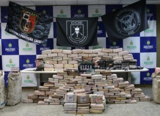 Fronteira Mais Segura/Hórus: Ações no Amazonas somam mais de R$ 95 milhões de danos ao crime em 2023