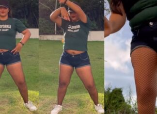 Talarica da Bemol dá chilique após ser chamada de gorda em vídeo: ‘quanto tá a feijoada? só bucho!’