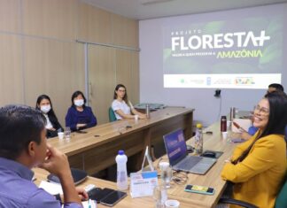 Projeto Floresta + Amazônia: Idam, Ipaam e PNUD alinham atividades