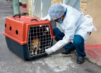 Perfil epidemiológico da esporotricose é apresentado para o CMS/Manaus