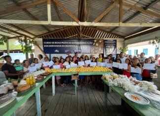 Idam fomenta a agricultura indígena em Amaturá com capacitação em derivados de mandioca