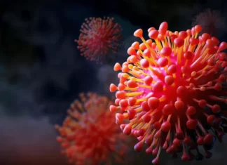 Brasil atinge marca de 700 mil mortos por Covid-19