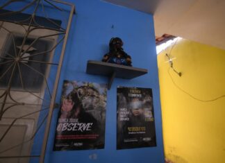 Festival de Parintins: Amazonastur faz ação integrada em estabelecimentos turísticos