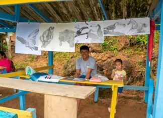 Em Parintins, dólar na mão da comunidade da Serra da Valéria movimenta a economia local