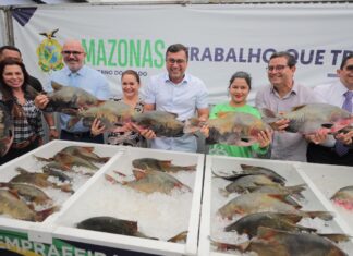 Semana Santa: Indígenas do Amazonas recebem doação de peixes