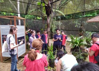Escolas estaduais tem mais de 1,1 mil projetos encaminhados para segunda etapa do Programa Ciência na Escola