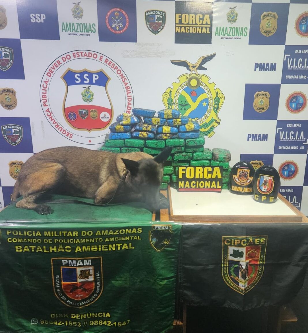 SSP-AM APREENSÃO ARPÃO - FOTO - DIVULGAÇÃO SSP-AM (2)