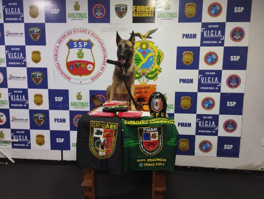 SSP_AM_MATERIAL_APREENDIDO_FOTOS_DIVULGAÇÃO_SSP_AM_ (1)