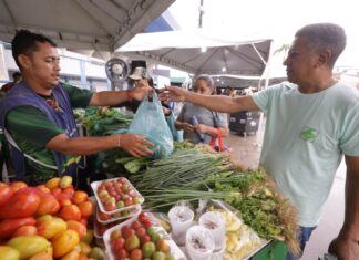 Em 100 dias, Governo do Amazonas investe mais de R$ 28 milhões no setor primário