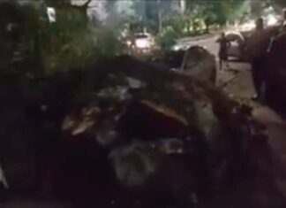 Árvore até o tucupi de cupim tomba em rua e quase atinge carros no Eldorado; vídeo