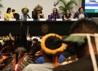 Líderes indígenas se unem contra projetos no Congresso