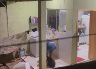 Homem é filmado espancando Husky