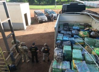 PF incinera mais de 11 toneladas de entorpecentes