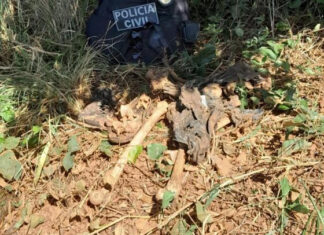 Ossada de homem assassinado por causa de tatuagem é achada