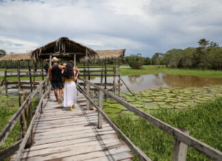Dia Nacional do Turismo: trabalhadores do setor relatam como é apresentar o Amazonas para visitantes