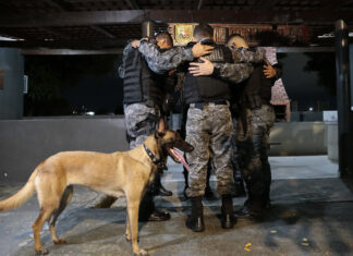 Cães policiais treinados para diversas ações auxiliam na Segurança do Amazonas