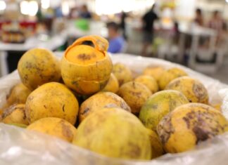 Dia Internacional da Família: Produtora rural e seus familiares comercializam produtos nas feiras regionais da ADS