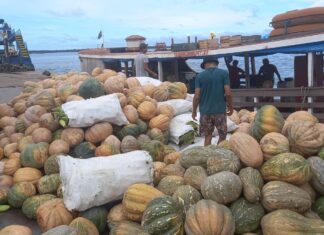 Em abril, Balcão de Agronegócios registra maior movimentação de alimentos do ano