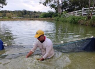 Piscicultor adquire aeradores para alavancar produção em Barreirinha