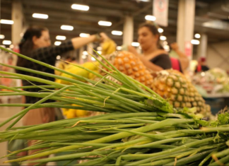 Feira da ADS é uma das atrações da segunda edição da Agrifest