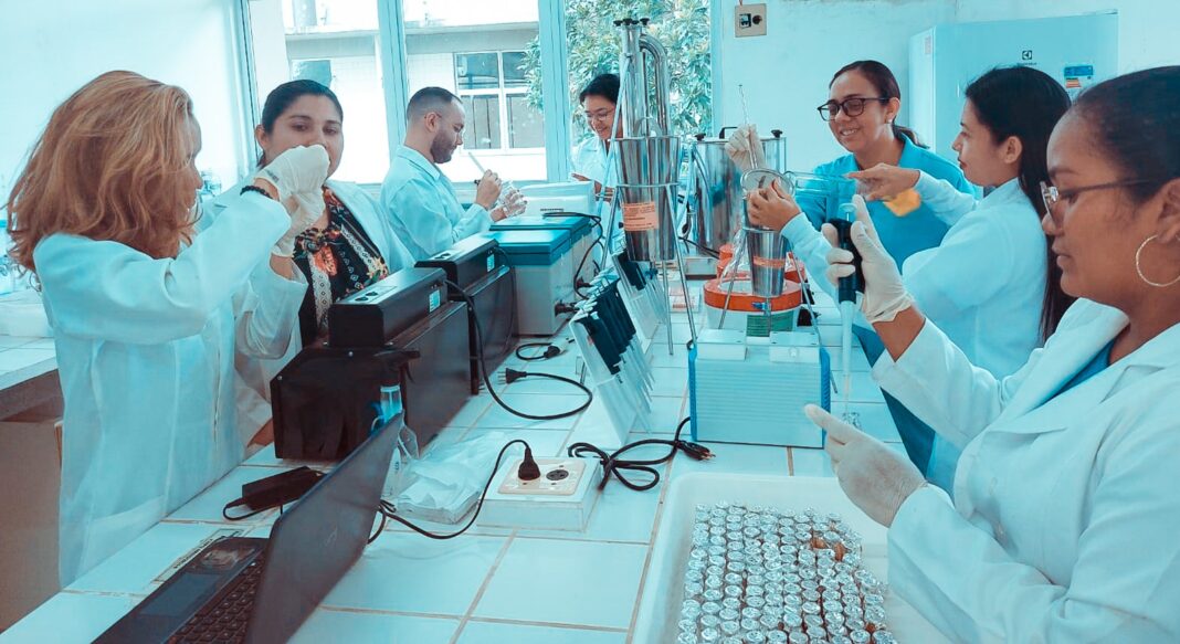 FAPEAM. Os dados revelaram moderada atividade antimicrobiana da planta lacre. Foto. Acervo da pesquisadora Dominique do Carmo