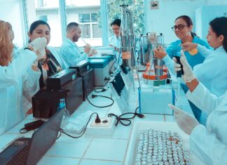 Estudo apoiado pelo Governo do Estado aponta potencialidade da planta amazônica ‘lacre’ no trato de ferimentos