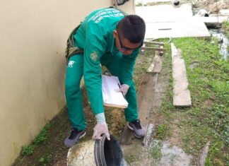 Dengue: Amazonas atualiza o cenário da doença nesta quinta-feira