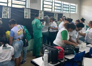 Agrotóxicos: Saúde do Amazonas realiza treinamento sobre riscos à saúde dos produtos químicos, em Itacoatiara