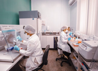 Editais da Fapeam de apoio a pesquisas desenvolvidas por cientistas mulheres recebem inscrições até 26 de junho