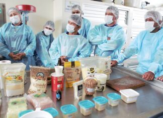 Técnicos do Idam recebem capacitação em Boas Práticas do Cultivo da Mandioca