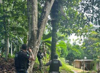 Bandidos “juízes” do “Tribunal do Crime” são escoltados para Manaus
