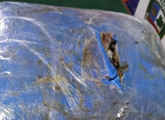 Base arpão: Agentes apreendem 12kg de skunk em abordagem à embarcação em Coari