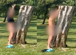 Pegada ambiental? Homem é preso após fazer sexo com árvore em parque