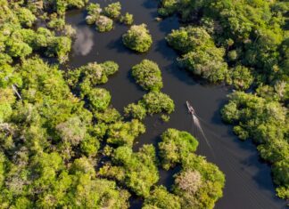 Amazonas, destino amado pelos famosos: 20 vezes que artistas e influenciadores conheceram o estado