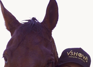 Agronorte apoia atletas equestres, como Géssyca Moraes, para fortalecer o esporte na região Norte e Nordeste