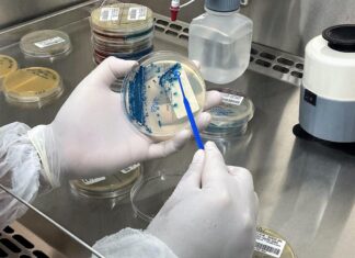 Único da Região Norte, Amazonas integra iniciativa internacional de monitoramento de resistência de bactérias a tratamentos