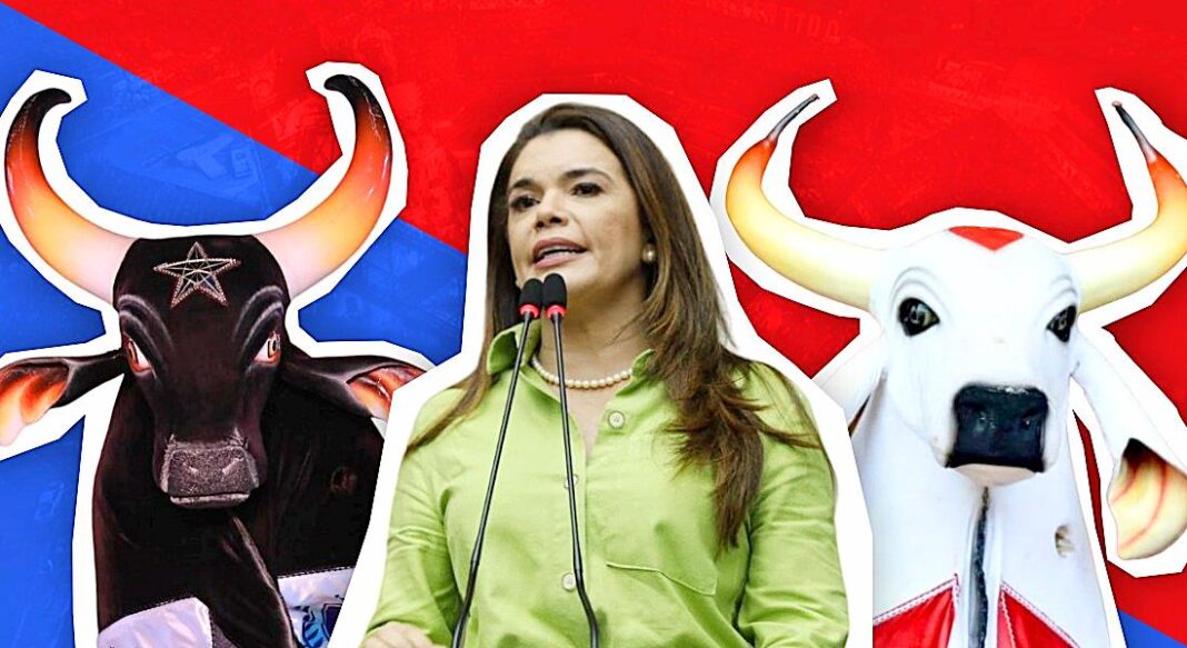 Foto: Miguel Almeida