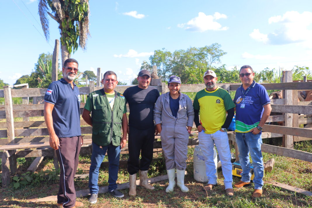 Foto: Ivy Bezerra / Idam